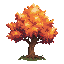 trees-tree-autumn-maple-tree-with-orange-leaves-mut