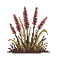 trees-tree-cluster-of-tall-reeds-muted-desaturated-