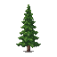 trees-tree-tall-dark-green-pine-tree-muted-desatura