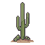 trees-tree-tall-desert-cactus-with-arms-muted-desat