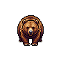q01-bear