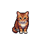q02-cat