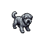q03-dog