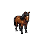 q04-horse