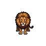 q05-lion